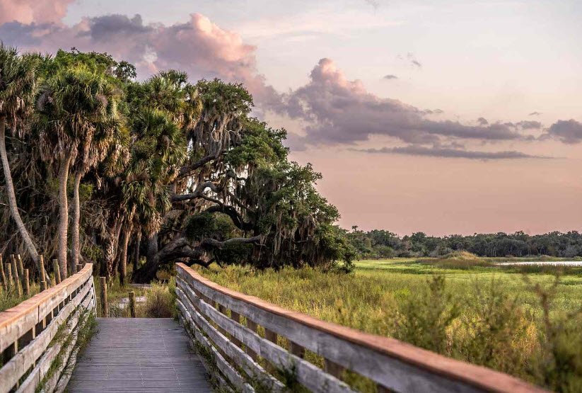 Myakka River State Park, Florida, USA